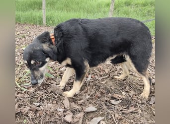 Debby eine gebrochene Seele