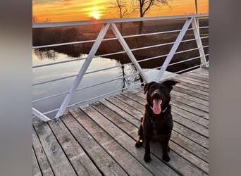 Mio ein treuer wundervoller Freund fürs Leben