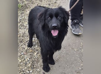 Jonte pure Lebensfreude