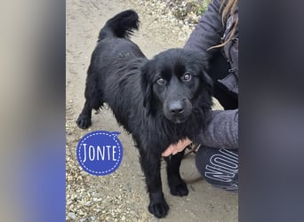 Jonte pure Lebensfreude