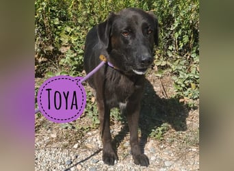 Toya wartet unverschuldet schon ewig