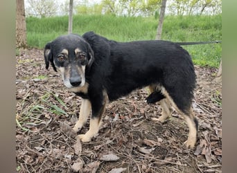 Debby eine gebrochene Seele