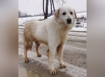 Fiona eine Schneekönigin