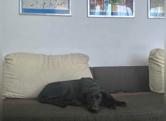 Kan braucht liebevolle Familie