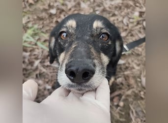 Debby eine gebrochene Seele