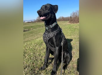 Kan braucht liebevolle Familie