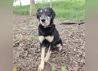 Debby eine gebrochene Seele