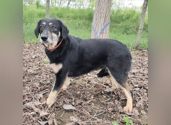 Debby eine gebrochene Seele