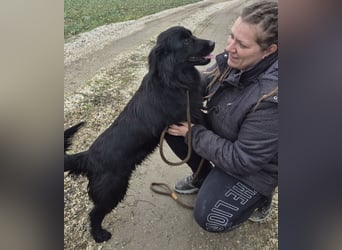 Jonte pure Lebensfreude