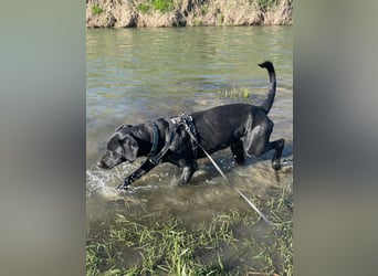 Kan braucht liebevolle Familie