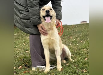 Odin ein richtiger Teeneger