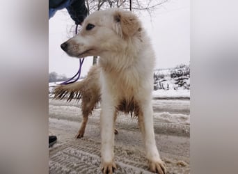 Fiona eine Schneekönigin