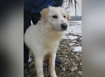 Fiona eine Schneekönigin