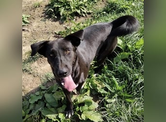 Zita die Großherzige