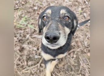 Debby eine gebrochene Seele