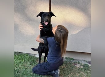 Mio ein treuer wundervoller Freund fürs Leben