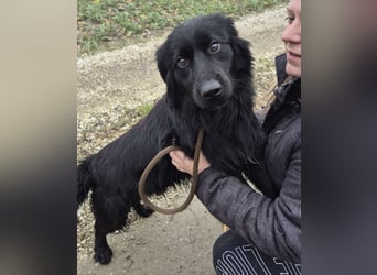 Jonte pure Lebensfreude