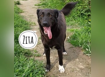 Zita die Großherzige