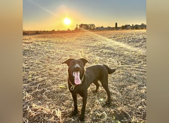 Mio ein treuer wundervoller Freund fürs Leben