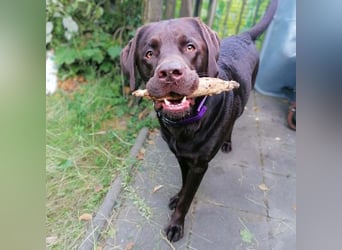 Carlos - ist eine Wasserratte