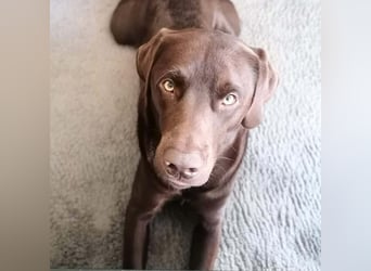 Carlos - ist eine Wasserratte