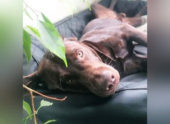 Carlos - ist eine Wasserratte