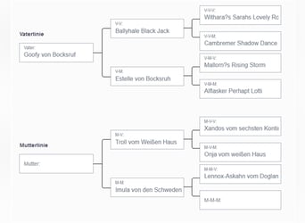 Deckrüde - Labrador-Retriever - Arne von Lammertshof – schwarz – kein Verkauf
