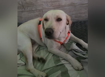 Sina aus Sicherstellung sucht ihr Glück