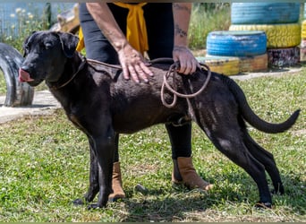 Diego - jung und verspielt