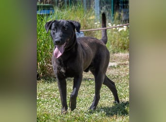 Diego - jung und verspielt