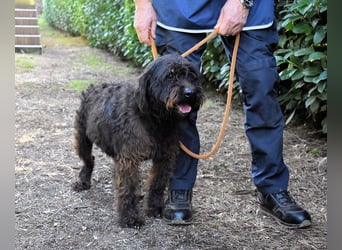 Rufino - 10 Schritte