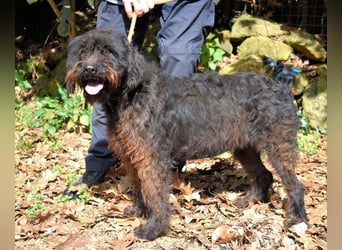 Rufino - 10 Schritte