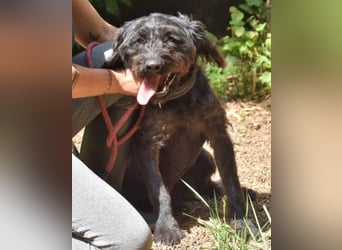 Rufino - 10 Schritte