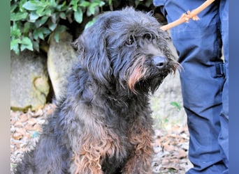 Rufino - 10 Schritte