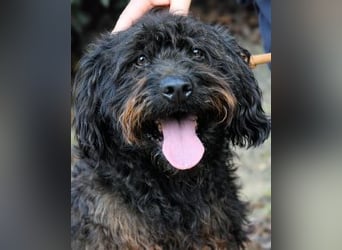 Rufino - 10 Schritte