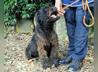 Rufino - 10 Schritte