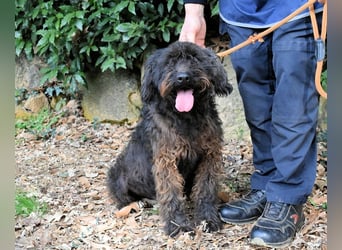 Rufino - 10 Schritte