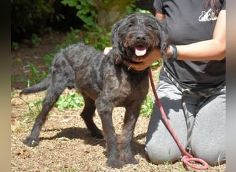 Rufino - 10 Schritte