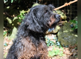 Rufino - 10 Schritte