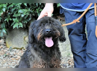 Rufino - 10 Schritte