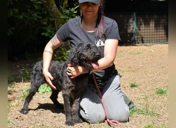 Rufino - 10 Schritte