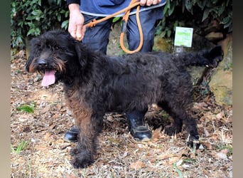 Rufino - 10 Schritte