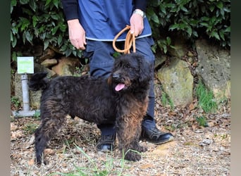 Rufino - 10 Schritte