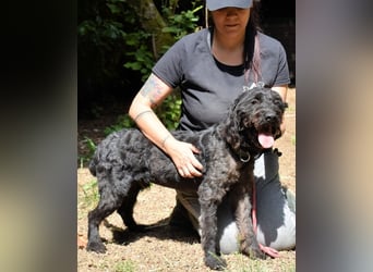 Rufino - 10 Schritte