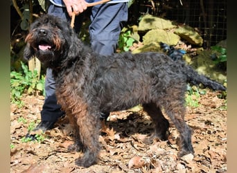 Rufino - 10 Schritte