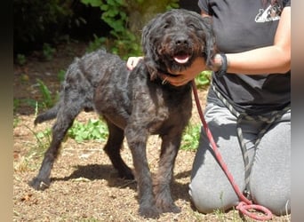 Rufino - 10 Schritte