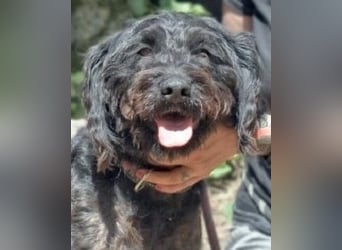 Rufino - 10 Schritte