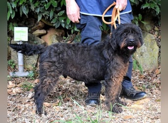 Rufino - 10 Schritte