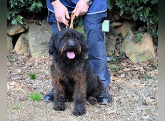 Rufino - 10 Schritte