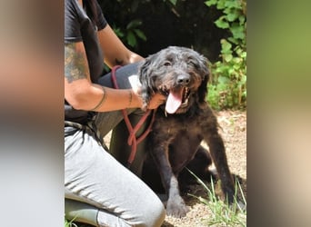 Rufino - 10 Schritte